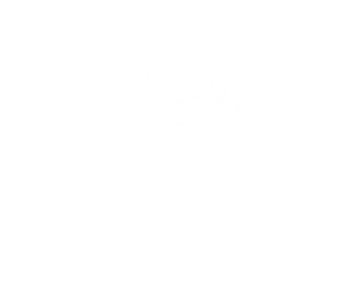 sponsor