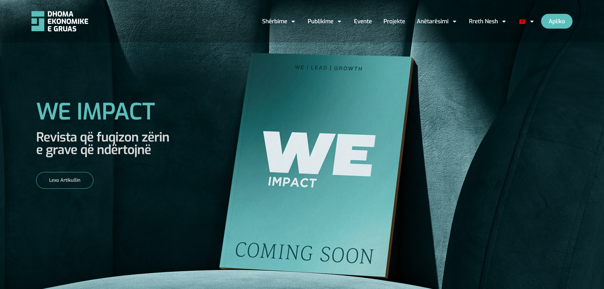 WECA website project by MUST